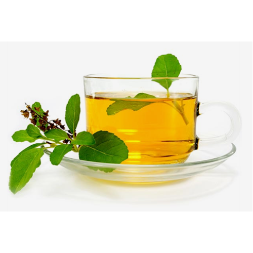 Himalayan Tulsi